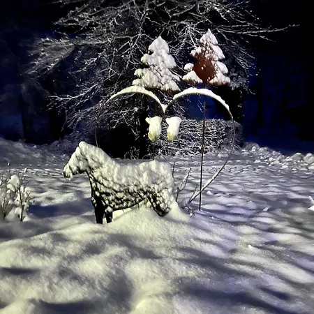 Landferienwohnung Simon